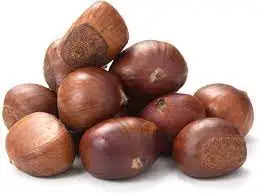 Fresh Chestnut for Roasted chestnuts