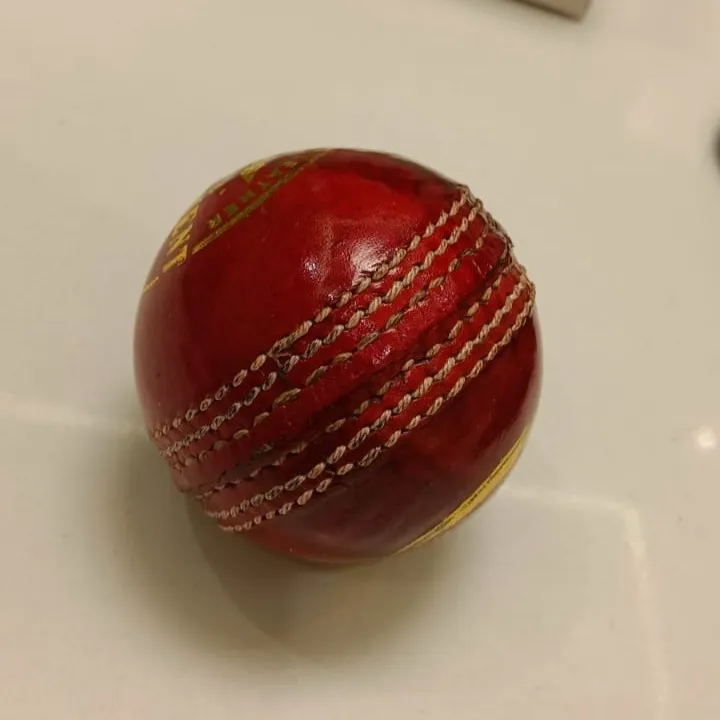Wholesale Leather Cricket Ball Red 40 over For Indoor And Outdoor Practice QSICO