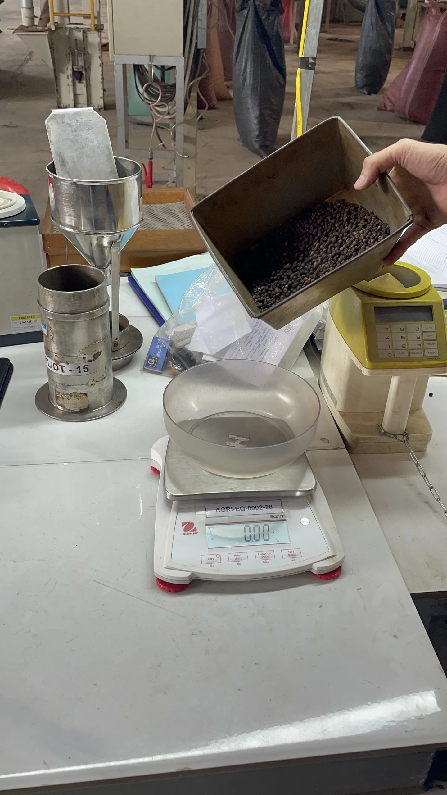 Wholesale Best Price Black Pepper With High Quality From Vietnam 100% Pure For Cooking Herbs And Ingredients