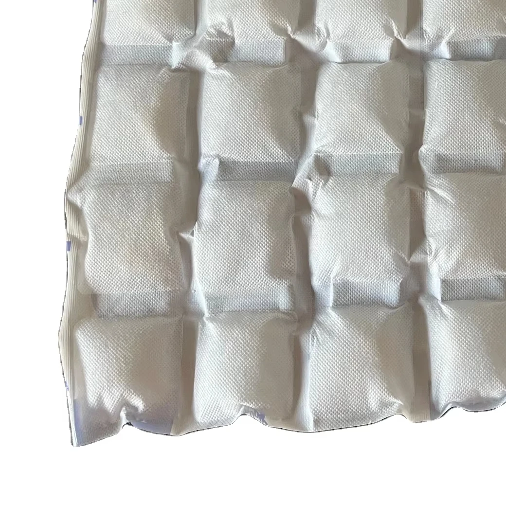 Disposable icepack xl cube flexible reusable packaging ICE pack xl