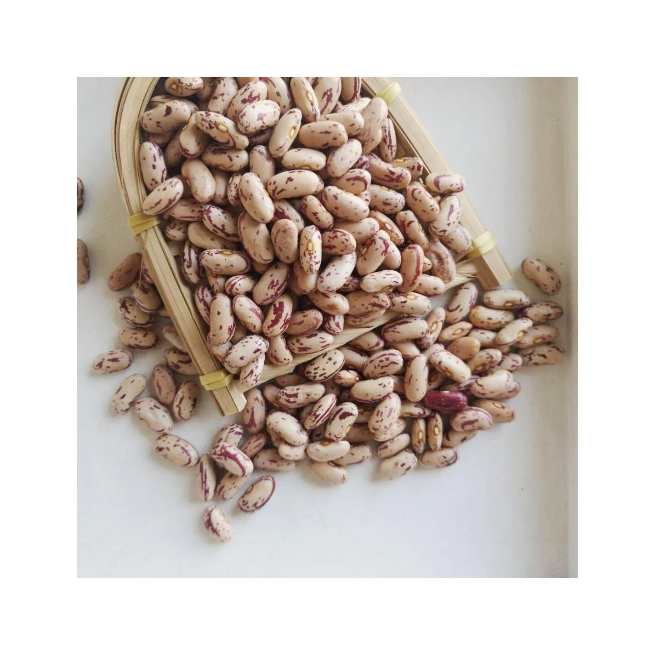 Widely Used Superior Quality Kidney Pinto Beans Wholesale Light Speckled Kidney Bean