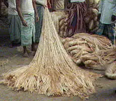 Standard Quality 100% Natural Raw Jute Fiber Excellent Eco-Friendly Sustainable Export Oriented Raw Jute Fiber from Bangladesh