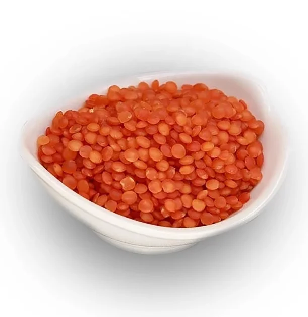 TOP QUALITY LENTIL BEANS FOR WHOLESALE PRICE FOR SALE