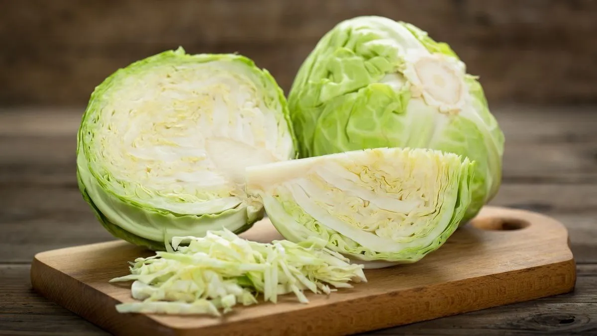 Best Price Fresh Vegetables Common Cultivation Export Quality White Natural Fresh Cabbage From Vietnam