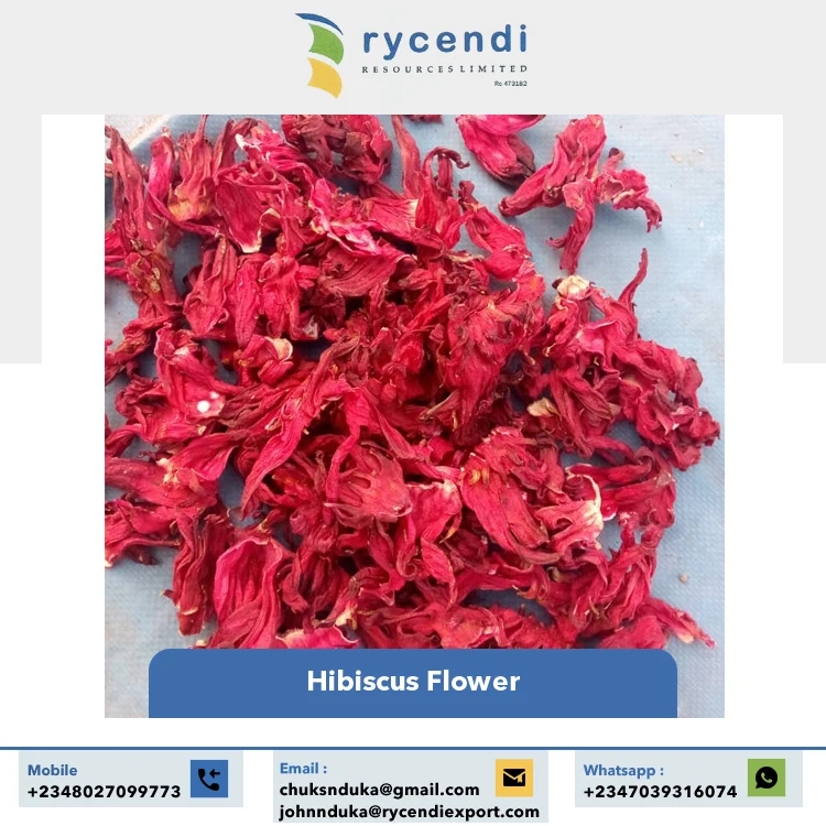 Real Natural Pleasant Taste Calcium Content 100% Clean & Dried Hibiscus Cut Fresh Flower at Wholesale Supply by Supplier