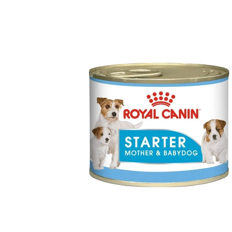 Wholesale Private Red Bull Label Brand Natural Energy Drink Sport Power Energy Drink Code Red Bull Drink For Sale