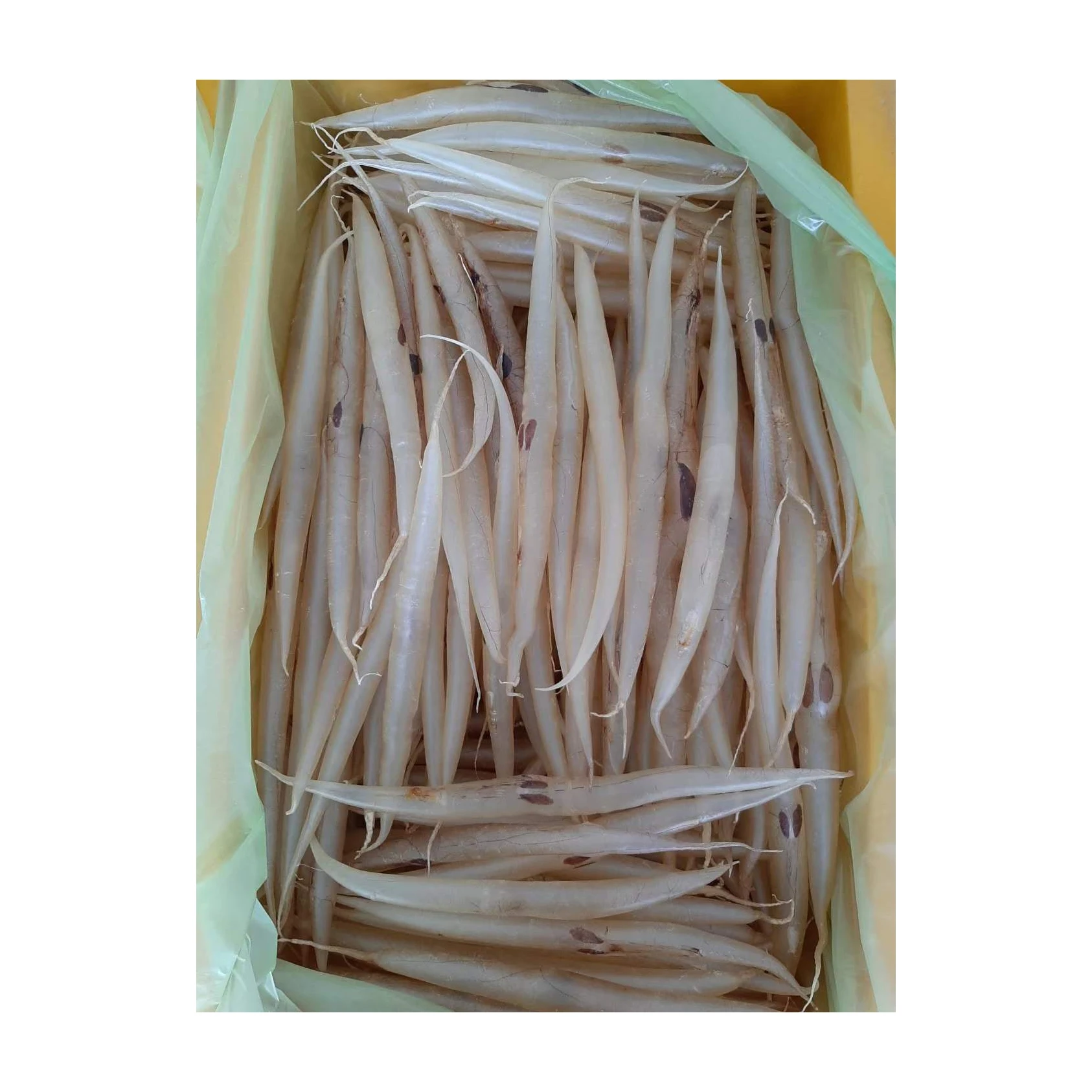 100% Natural Dried Top Quality EEL Fish Maw Sea Fish Food Wild Caught 100% Natural Fish Maw