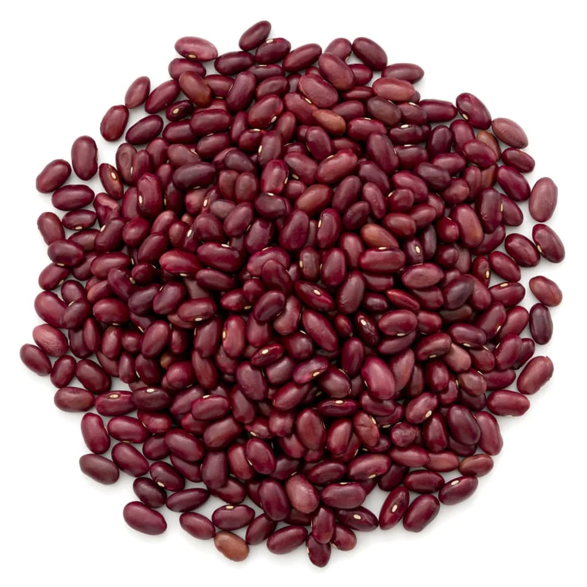 Red beans for sale in bulk supply high quality pure organic Red beans for cooking and healthy food options