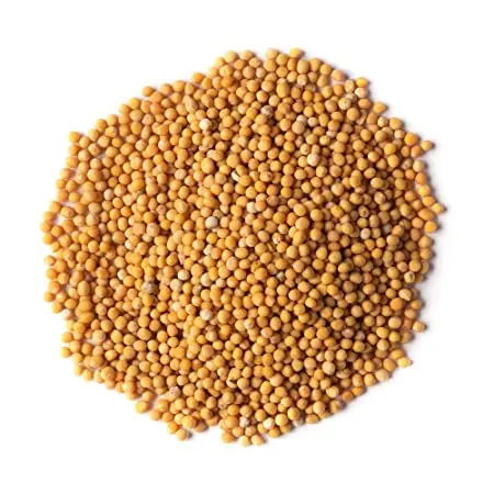 Yellow Mustard Seed