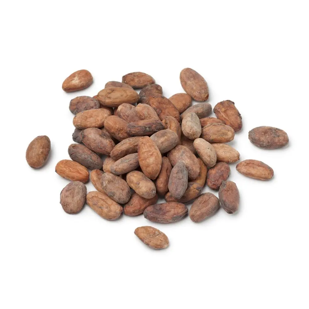 100% Cacao Beans seeds and Cocoa premium quality Natural cocoa West Africa cocoa beans wholesale suppliers