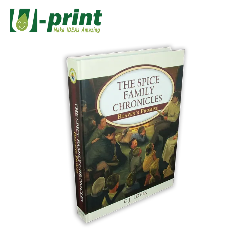 Personalized Hardback Religious Books Custom Printing King James Bible with Casebound Finish