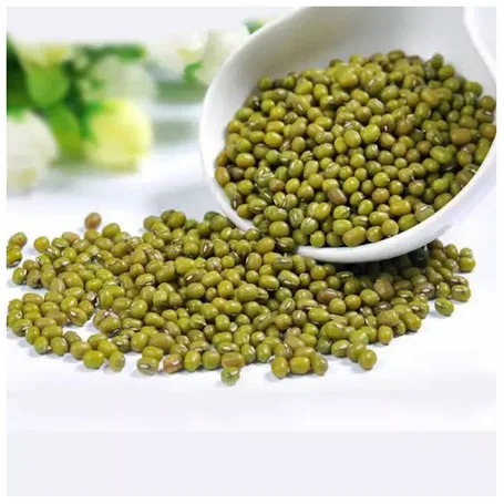 Best choice and best discounts Green Bean Machine Cleaned Premium Grade Green Mung Beans Exporter