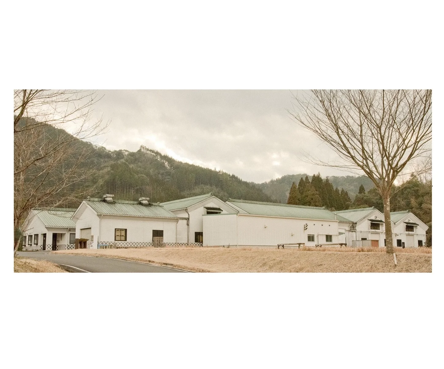 Custom alcoholic drink beverages to emphasize its authenticity deliciousness