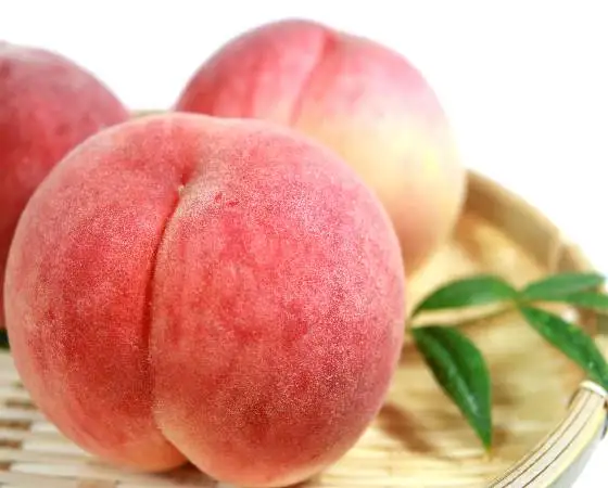 Yume Momo Gift Box Fresh Japanese PeachFresh Japanese Peach