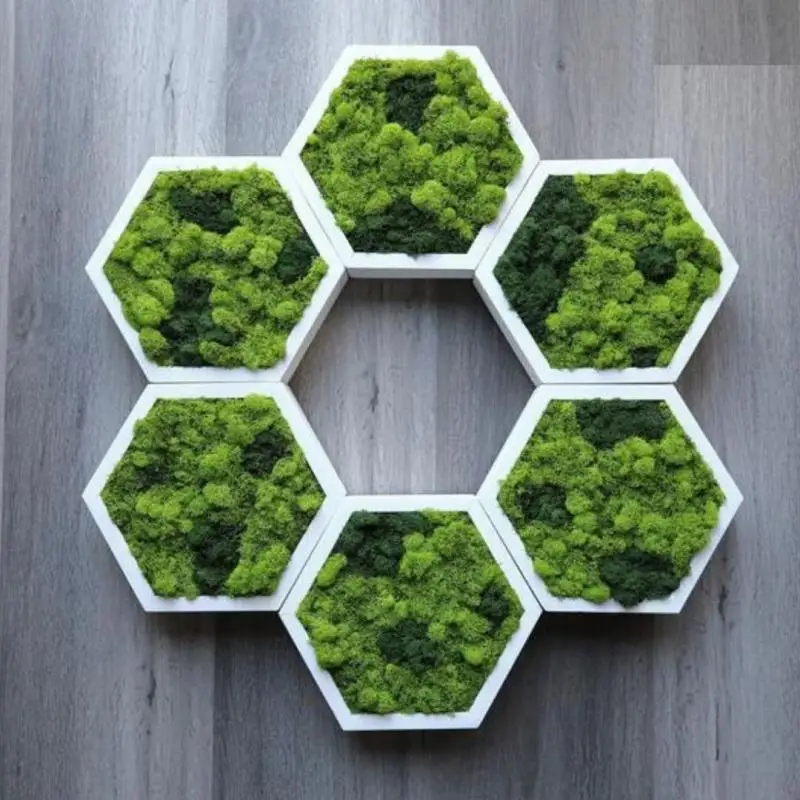 Luxury Home wall Honeycomb Shelf multi unit Set Shelf office decoration office hotel decor