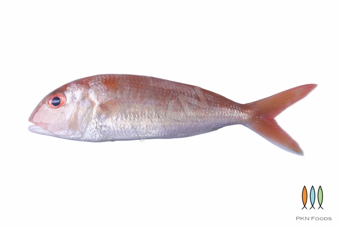 Best Price Good Quality Grade Manufacture Feature IQF Variety Frozen sea fish Threadfin Bream from Vietnam