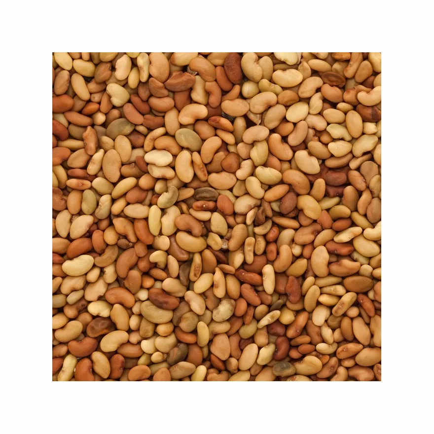 Organic Alfalfa Seeds for Sprouting Non GMO Sproutable - by Food To Live