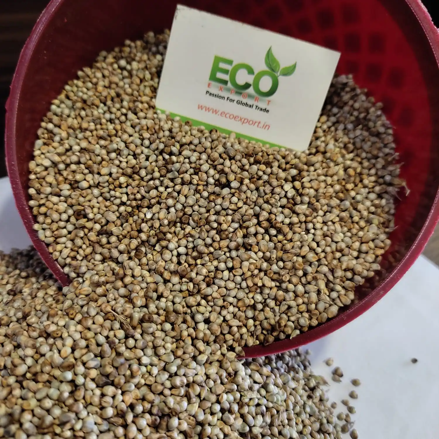 Green Millet In Bulk At Reasonable Rate