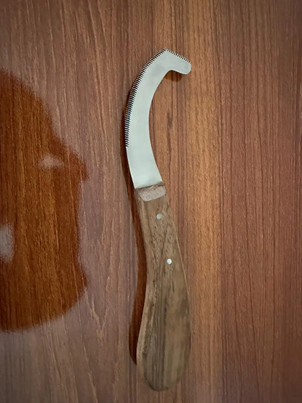 Bot egg Wooden Knife Hoof Pick Bot Fly Knife Lincoln Bot Stainless Steel Blade Grooming Equestrian Equine Veterinary Instrument