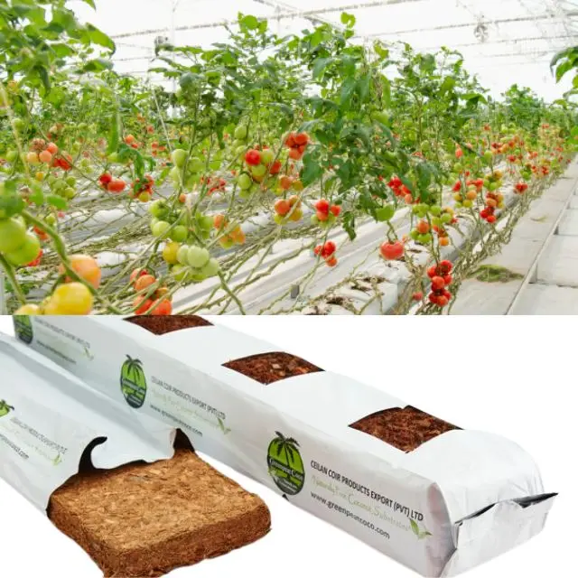 Grow bags for tomatoes sustainable and bio-degradable made from natural coconut peat for affordable prices