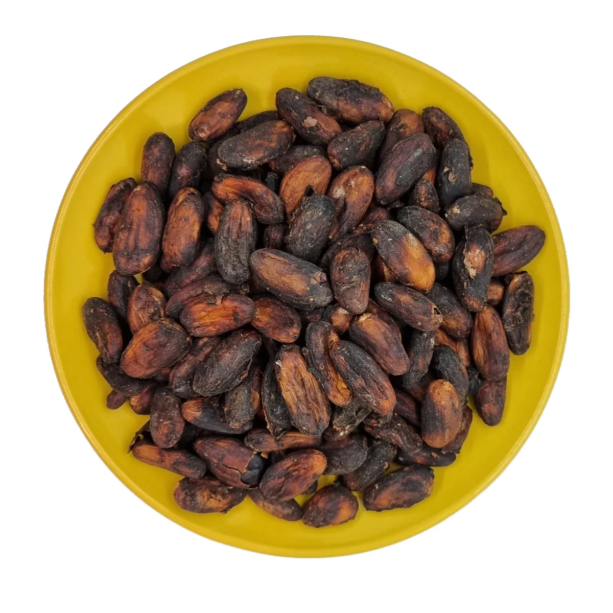 High Quality Cocoa Beans Dried Roasted Cacao Beans Chocolate Beans Natural Premium Made in Brazil
