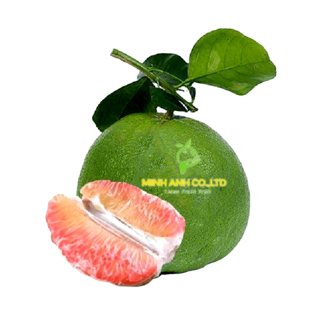 New product 2023 Fresh Sweet Red Globe Grapes Vietnam Premium Style Storage Food Organic Package Weight Origin Type Quality Size