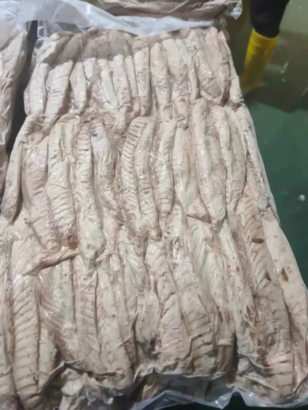 Fillet Part Single Clean Frozen Cooked Tuna Skipjack tuna Loin with flakes 10 Percent precooked tuna loin