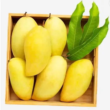 Best price 2023 Premium Fresh Mango From Vietnam100% Natural Premium Grade of Fresh Mango with Best Taste