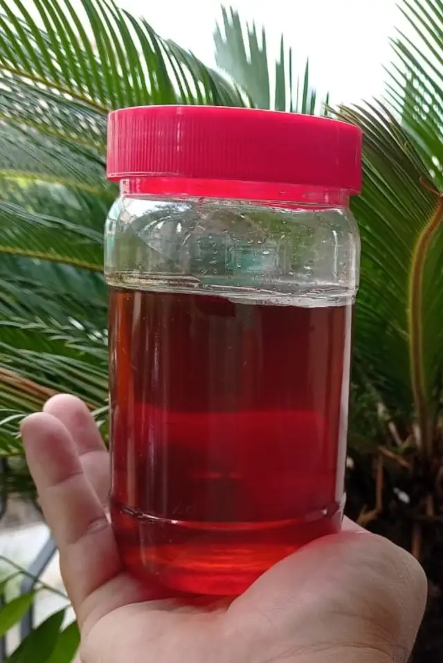 Top Seller Premium Quality 100% Malaysia Original Natural Bee Raw Honey Super Wholesales Newly Arrive 24 Months Shelf Life