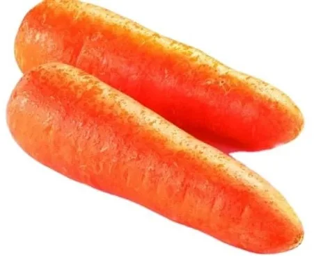 Cheap Vegetables Fresh Carrots Seed for Wholesale Export New Red Fresh Juicy and Sweet Carrots on Cheap Wholesale