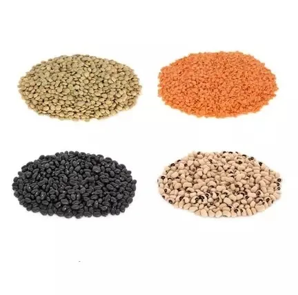 Wholesale High Quality Organic Red split Lentils With Out Husk Lentils(Red, Green, black and white)