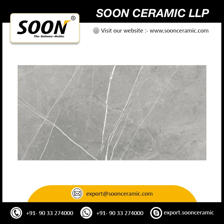 Direct Factory Supply 300x600mm Porcelain Tiles for Indoor and Outdoor Wall Decoration Amaze Lux Wall Tiles