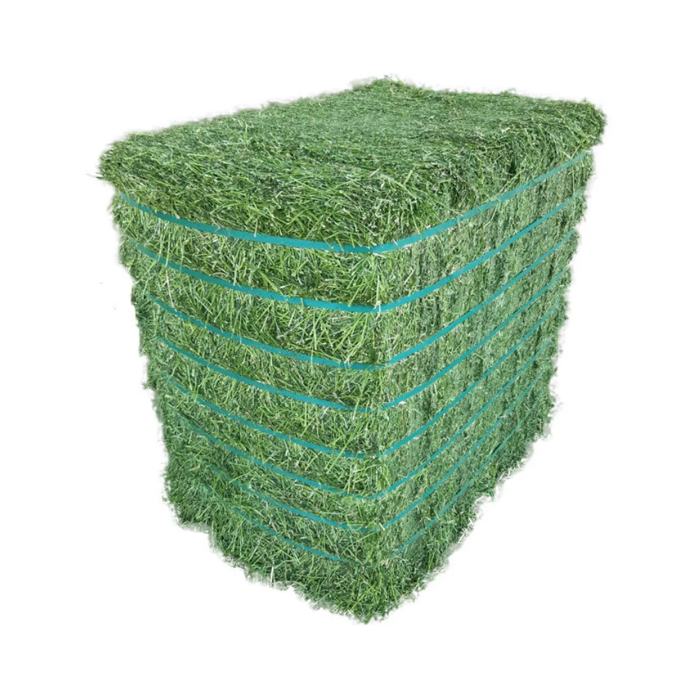 Good and Cheap alfalfa hay bays / Alfalfa pellets / Dehydrated Alfalfa cubes from Canada for sale