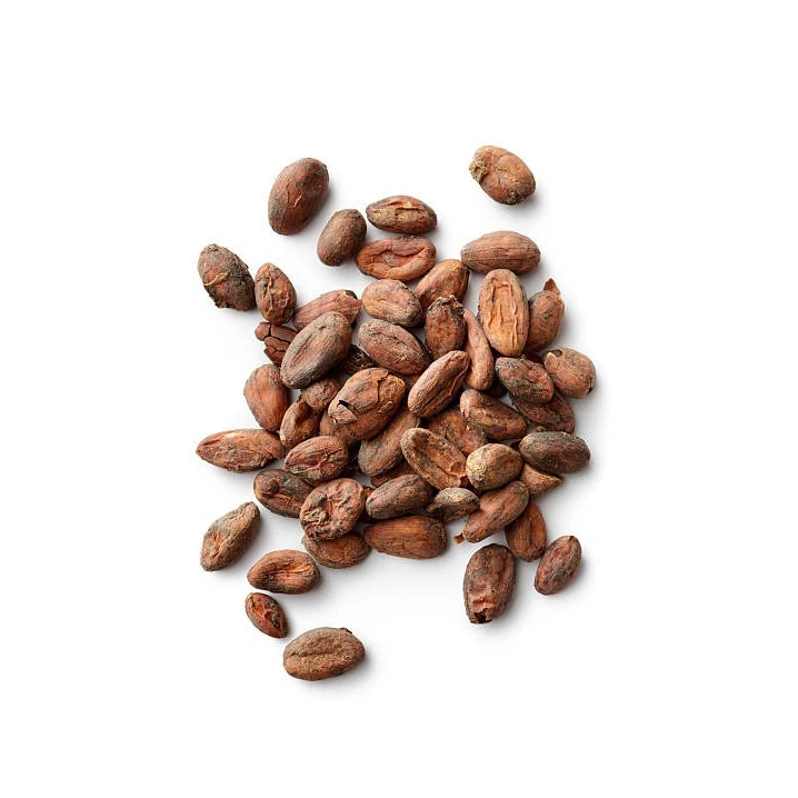 Wholesale Top Quality Cocoa Bean In Cheap Price