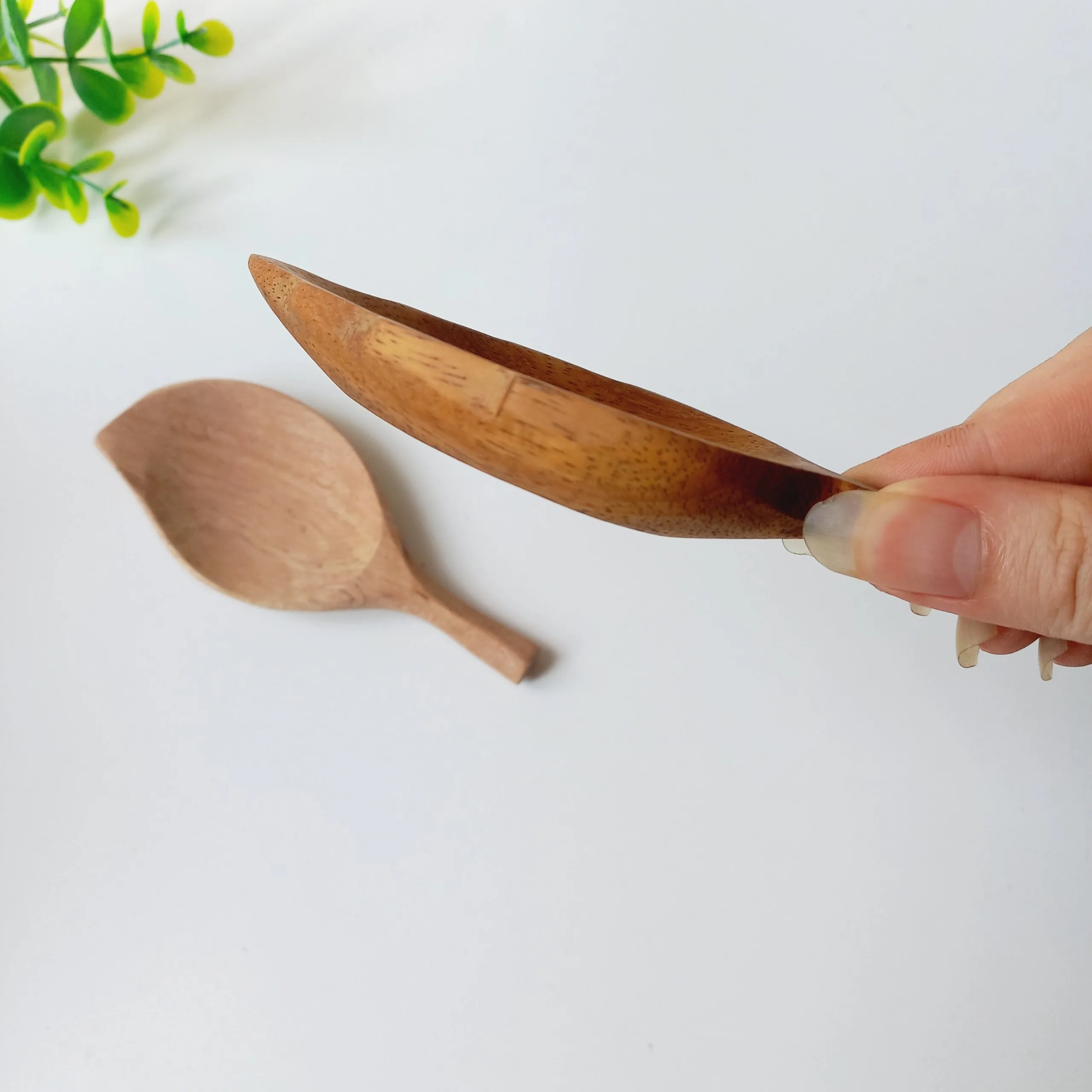 Wooden Leaf Shape Small Mini Spice Plate Dish Tray Service Dessert Creative Unique Wholesale Classic Made In Vietnam Vitrapro
