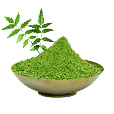 Neem Leaves Powder Azardiractha Indica Huile De Neem Indian Lilac Margosa Tree Margousier Nim Leaf