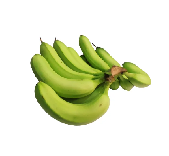 Wholesale Grade A789 Cavendish Banana Top Price For Export From Vietnam Best Selling Manufacturer OEM ODM Custom Accept Order