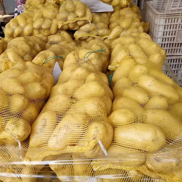 Fresh Potatoes from Bangladesh High Quality 100 Custom Style Weight Origin Type Shape Size Product Place Model OVAL