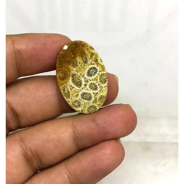 Natural Fossilized Coral Loose Cabochon mix shape in all size Handmade Nice Coral Cabochon Loose Gemstones Making For Jewelry