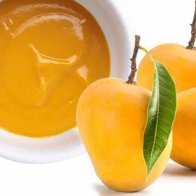 FROZEN MANGO PUREE FROM VIETNAM WITH SPECIAL PRICE - PREMIUM QUALITY MANGO PULP NO ADDITIVES- 100% PURE MANGO PUREE