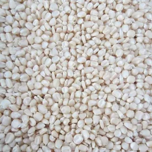 WHITE CORN FOR SALE  , Dried White Maize , White Corn For Export Markets .