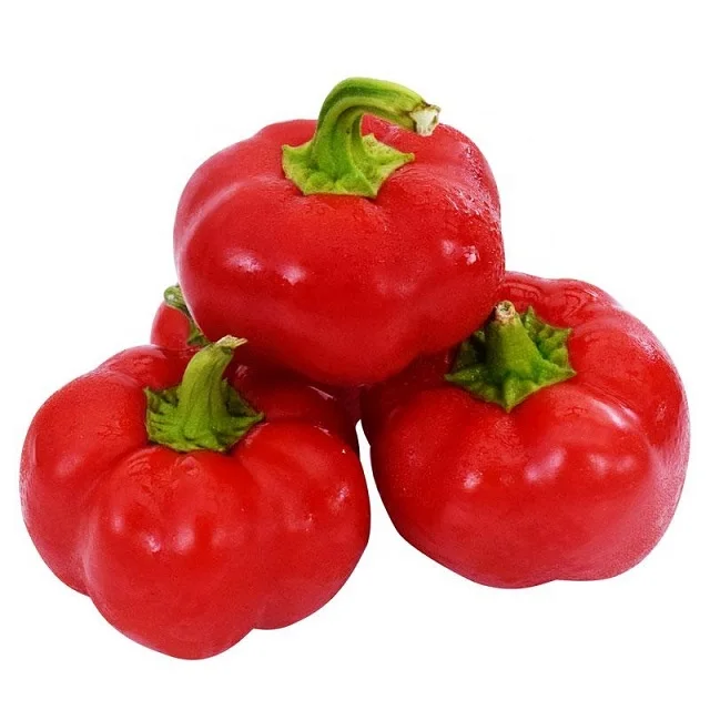 100% Fresh & Natural Color Capsicum Fresh Exotic Vegetables Bell Peppers
