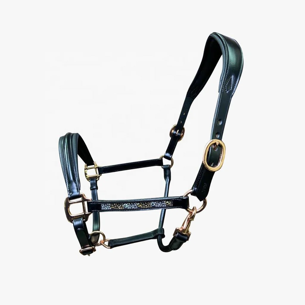 HORSE LEATHER ANATOMICAL HEADCOLLAR HALTER SOFTY PADDED EQUESTRIAN STABLE EQUIPMENT MULTI DESIGNS CUSTOM MANUFACTURER