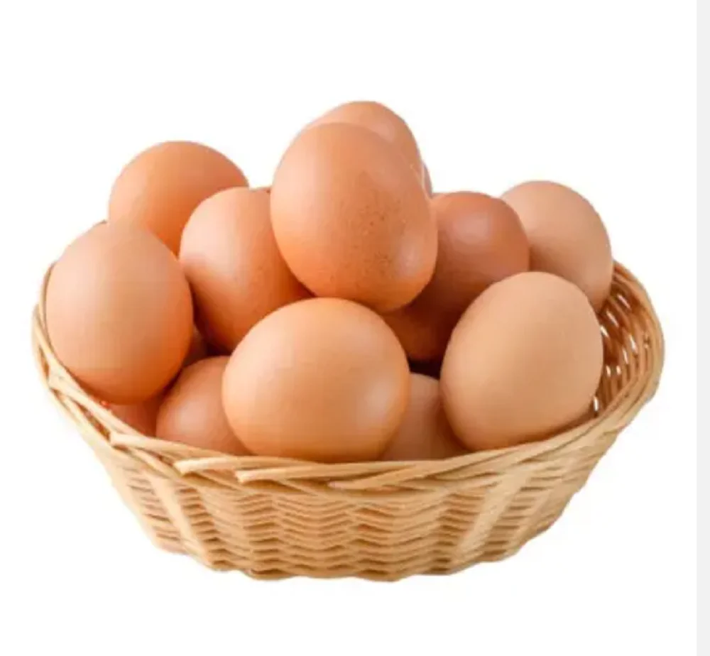 Fresh Brown And White Shell Chicken Eggs Farm Fresh Table Eggs for Sale at Wholesale Prices