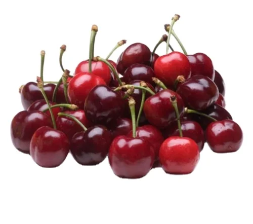 Высококачественные свежие сладкие вишни/свежие фрукты вишни/красные вишни на продажу, свежие хорошего качества