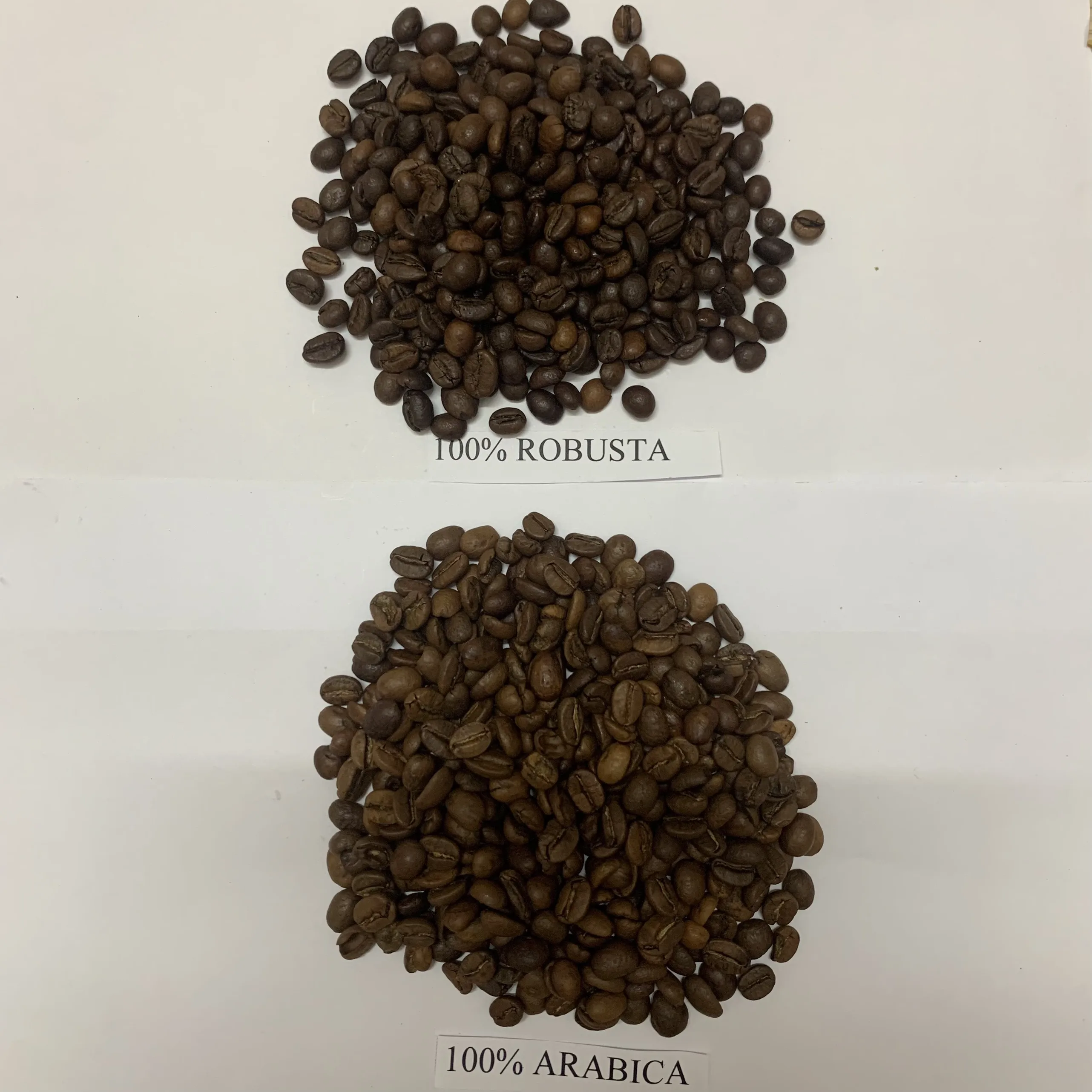 Cheap Classic Arabica coffee Single Origin Roasted Coffee Bean Wholesale Coffee Supplier (free sample) whatsapp +84326055616