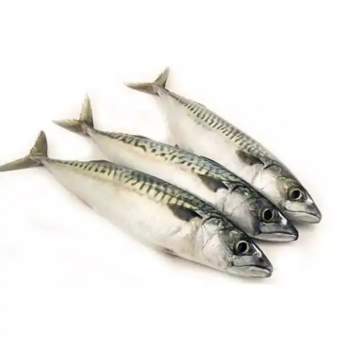 Экологически чистые морепродукты замороженная рыба скумбрии цена картонная