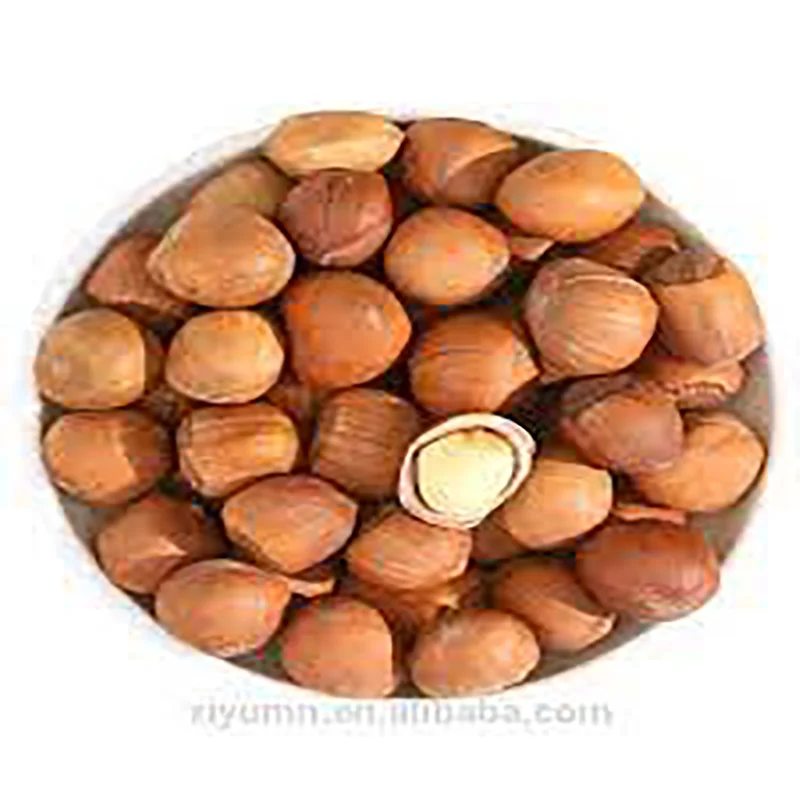High Quality Made In Italy Delicious blanched hazelnuts 1 kg x10 in 1 Carton Box Wholesale Premium