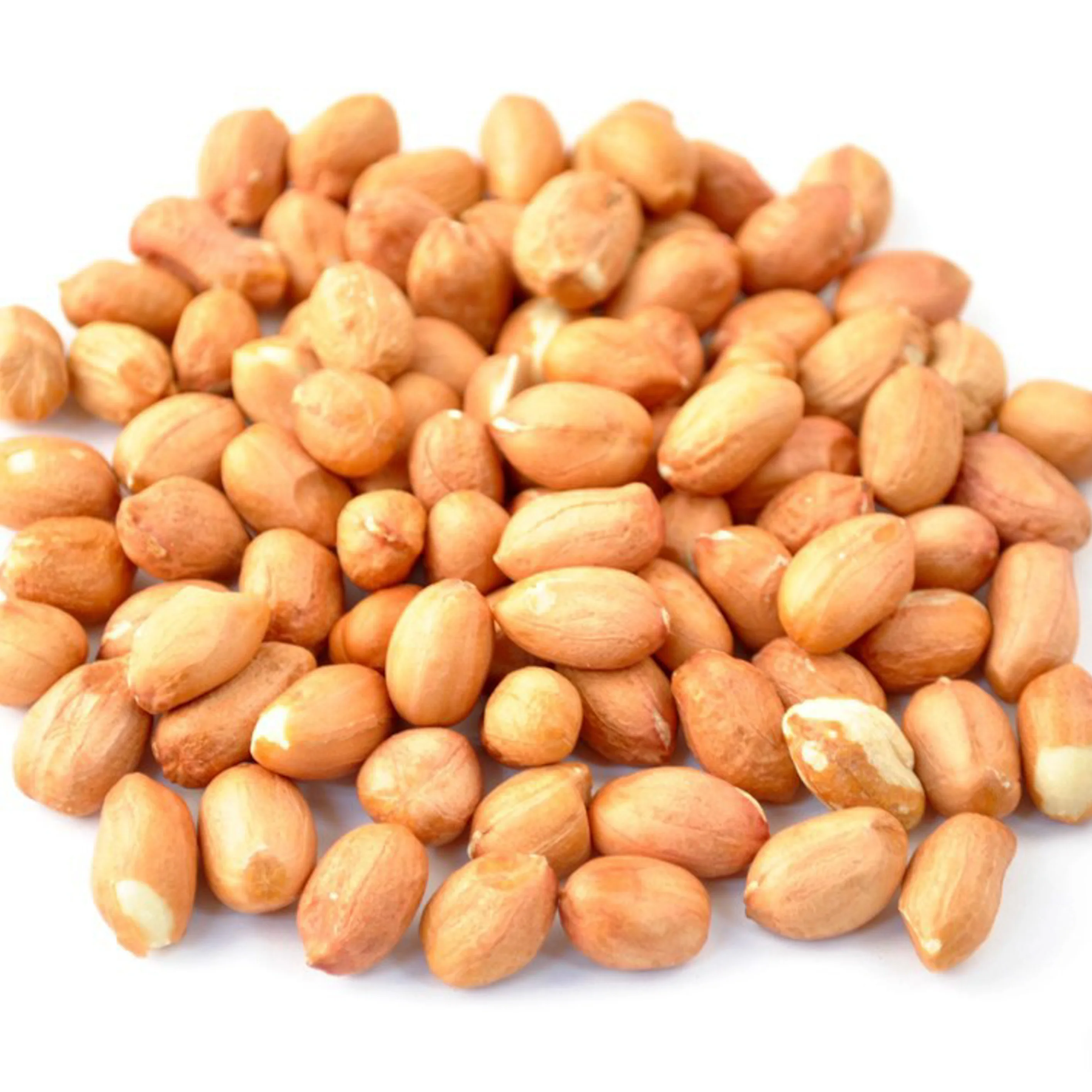 Wholesale Natural Bulk Dried Peanut at competitive price from Brazil manufacturer