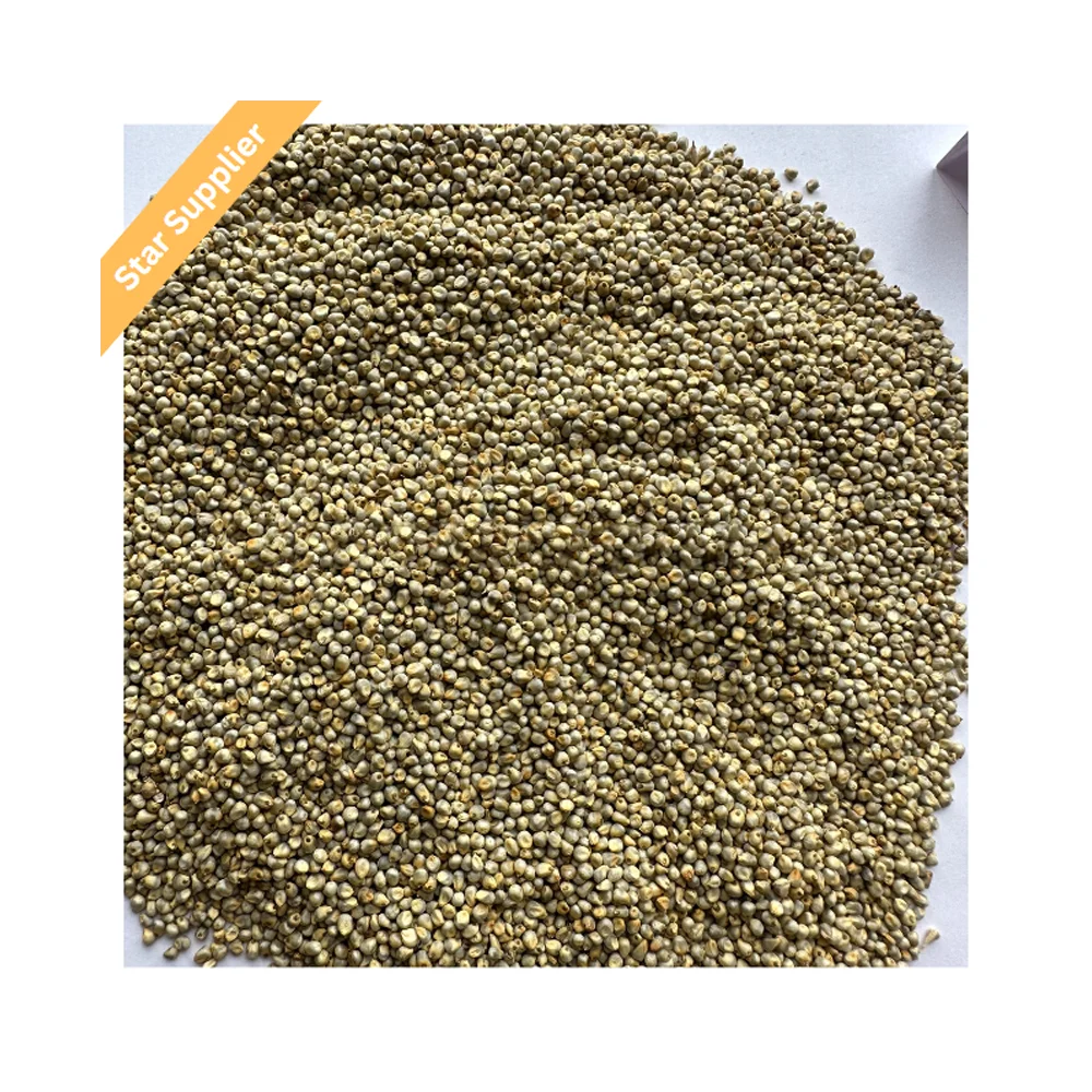 Bird Feed Yellow Broom Corn Millet peas for Bird Food